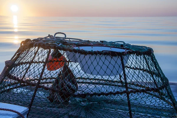 Crab trap — Stock Photo, Image