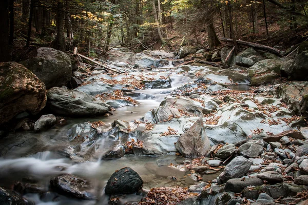 Stream in Vermont — Stockfoto