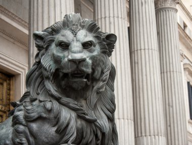 Aslan sembolü madrid