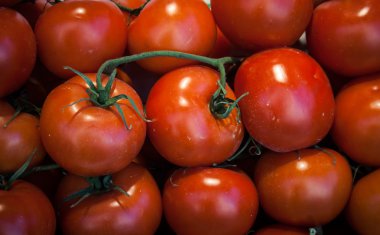 taze domates