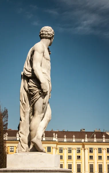 동상 비엔나 — 스톡 사진