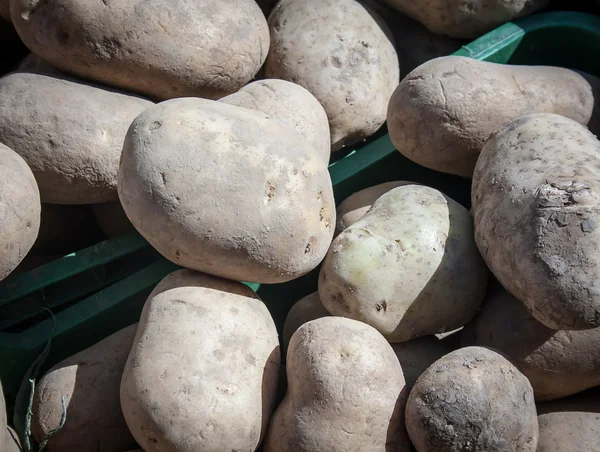 Fresh potatoes — Stock Photo, Image