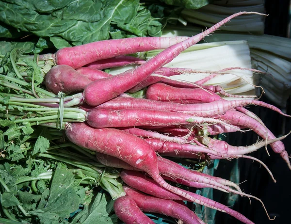 Radish — Stock Photo, Image