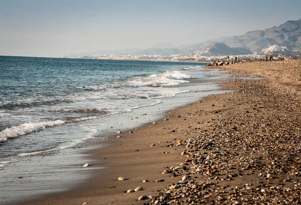 Strandalmeria – stockfoto