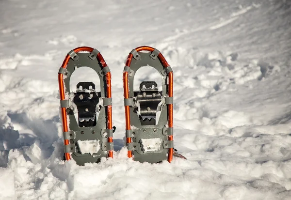 Snowshoes — Stock fotografie