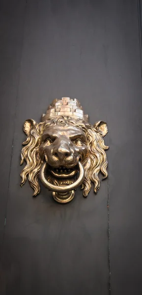 Batente da porta do leão — Fotografia de Stock