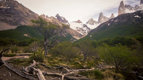 Sentier Randonnée Patagonie Argentine — Photo