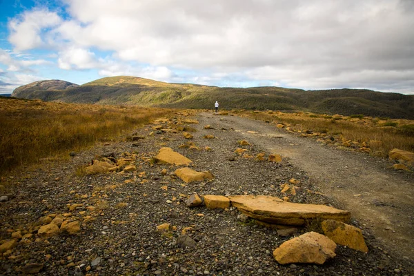Sentiero Escursionistico Nel Parco Nazionale Gros Morne — Foto Stock