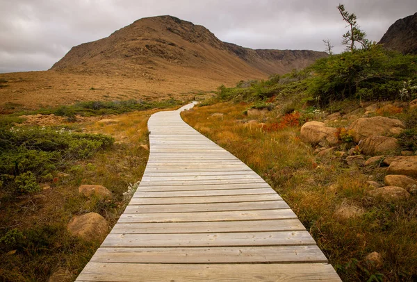 Houten Parcours Gros Morne Nationaal Park — Stockfoto