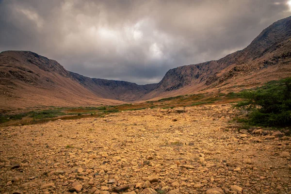 Wandelpad Gros Morne Nationaal Park — Stockfoto