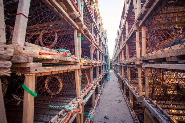 Row Lobster Traps Prince Edward Island — Stock Photo, Image