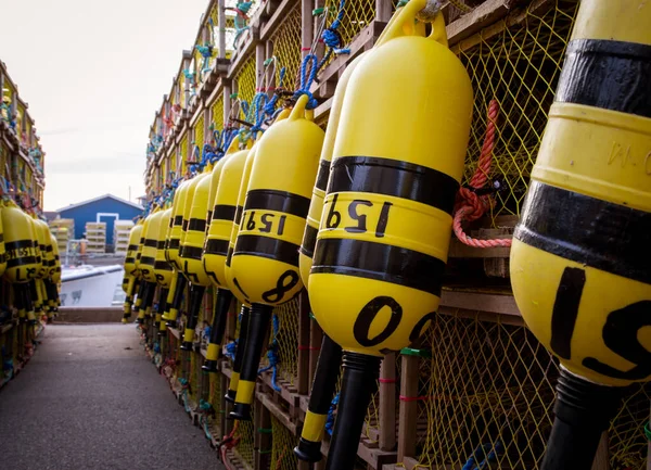 Buoys Hanging Lobster Traps Prince Edward Island — Stock Fotó