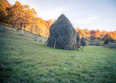 stack of hay in Romania 