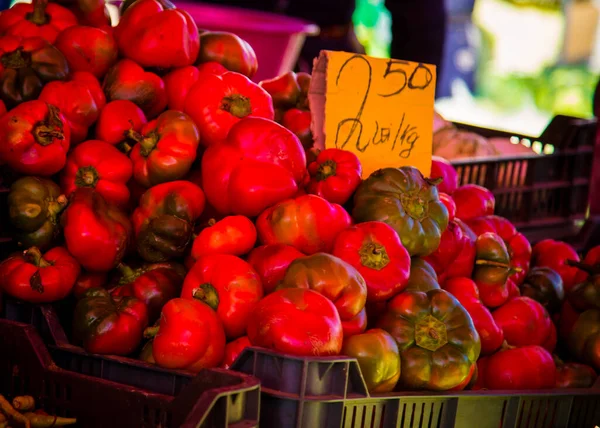 Red Peppers Market Sighetu Marmatiei Romania — Stock Photo, Image