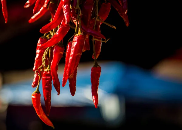 Hot Red Chili Peppers Market Sighetu Marmatiei — Stock Photo, Image