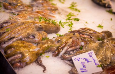 Sicilya 'da bir markette taze ahtapot.