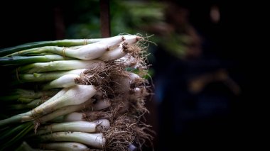 Palermo İtalya 'da bir markette taze taze soğan.