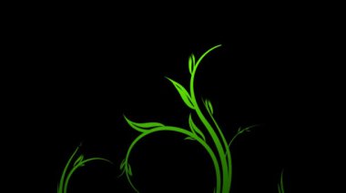 hareketli arka planlar