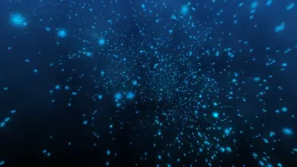 arrière plans animés