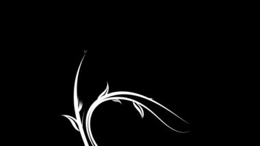 hareketli arka planlar