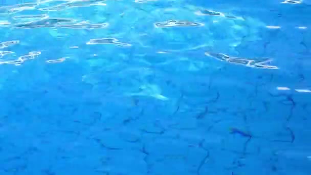 Schwimmbad zu unterschiedlichen Tageszeiten — Stockvideo