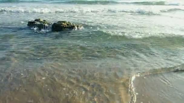 海洋のサーフ — ストック動画