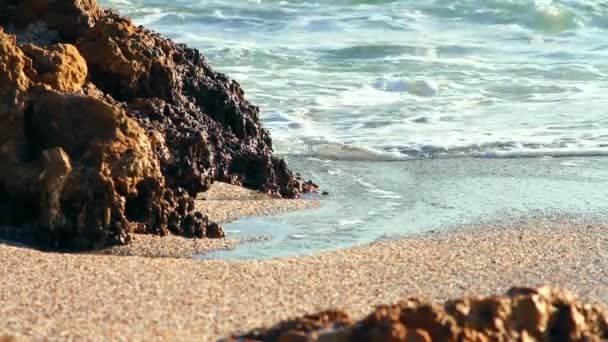 Piedras en la playa — Vídeos de Stock