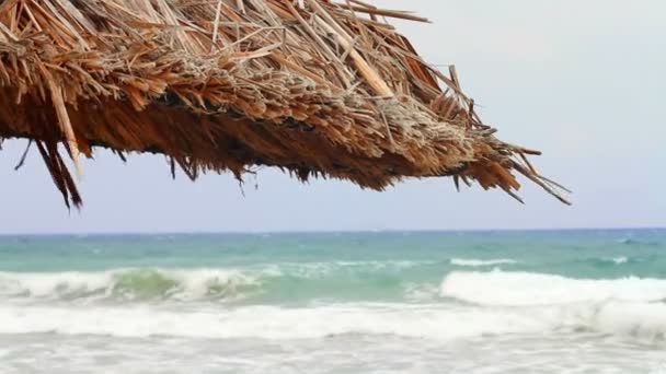 Sombrilla de mar y palmera — Vídeos de Stock