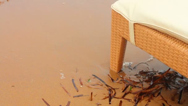 Camas de sol à beira-mar. Um feriado pacífico — Vídeo de Stock