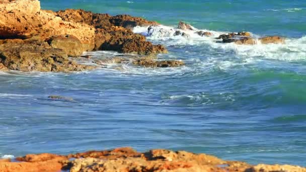 Piedras en la playa — Vídeo de stock