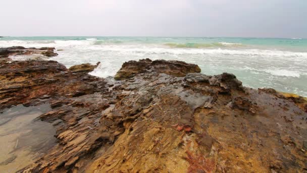 Havet efter en storm — Stockvideo