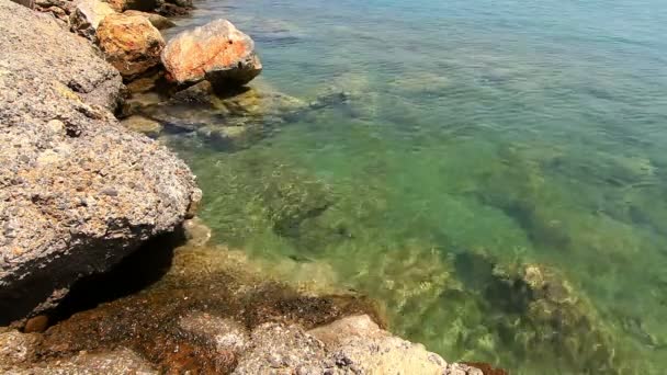 Acqua limpida del mare — Video Stock