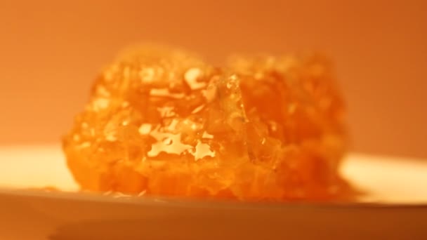 Deliciosa miel en un plato — Vídeo de stock