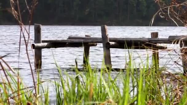 Wasser und Brücke — Stockvideo