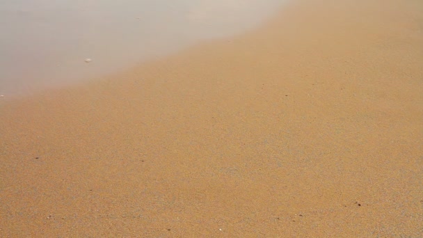 Люди, идущие по песку — стоковое видео