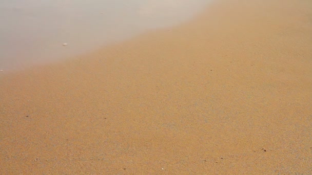 Menschen, die auf dem Sand gehen — Stockvideo