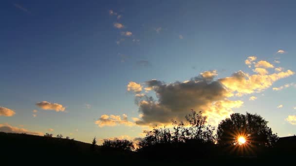 Die Sonne hinter den Bäumen untergeht — Stockvideo