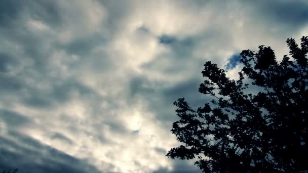 Похмуре небо — стокове відео