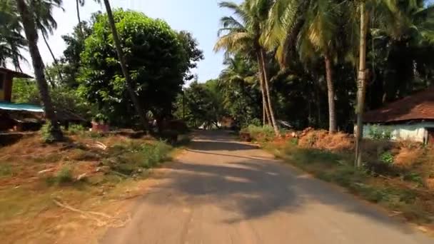 Village indien — Video