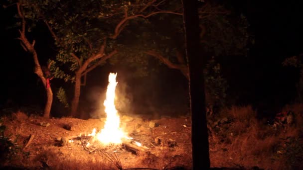 Incendie dans la forêt — Video