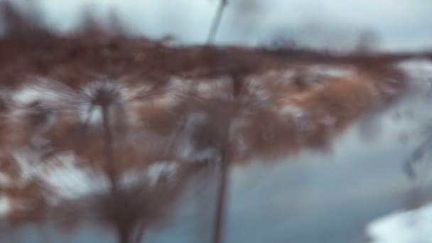 Rivière d'hiver 