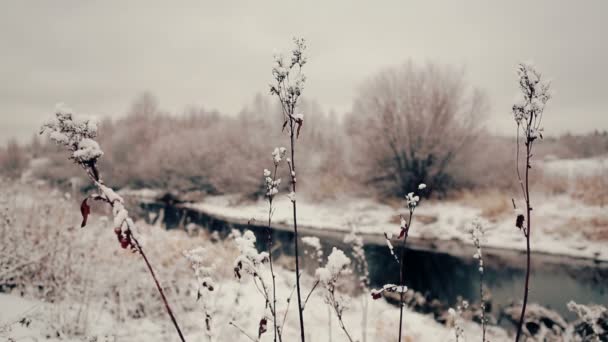 Río de invierno — Vídeos de Stock