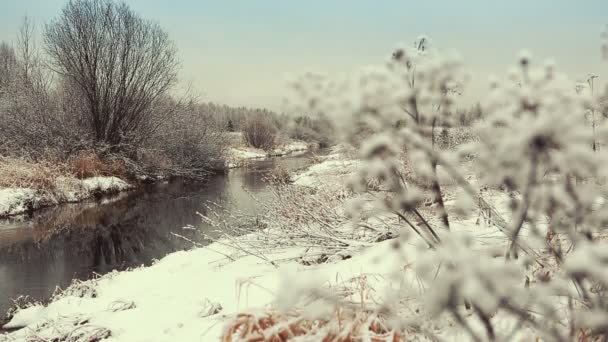 Winter river — Stock Video