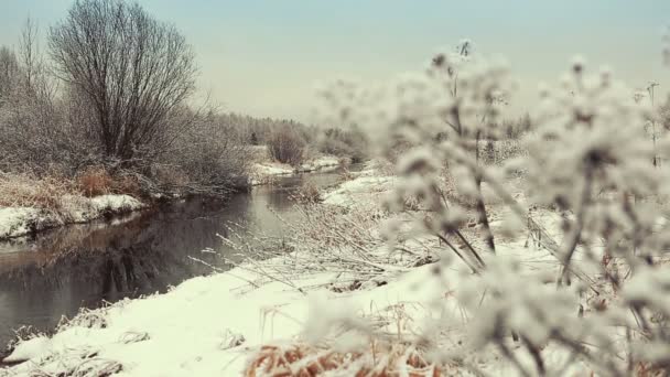 Río de invierno — Vídeos de Stock