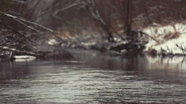 Melting snow Water — Stock Video