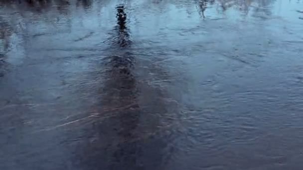 Eriyen kar suları — Stok video