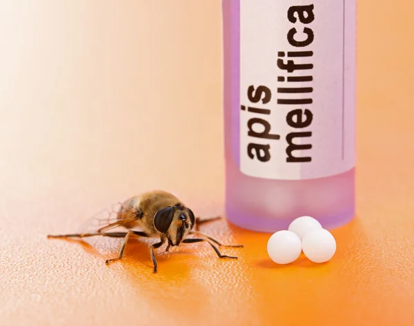 Apis Mellifica гомеопатические лекарства и пчела — стоковое фото