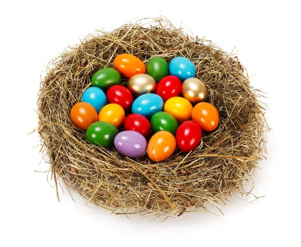 Lots of colorful eggs in nest — Stock Photo, Image