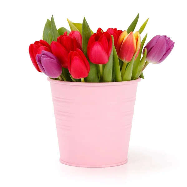 Bouquet of tulips — Stock Photo, Image