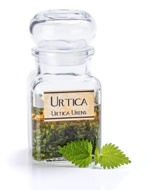 Urtica Urens plant extract clipart